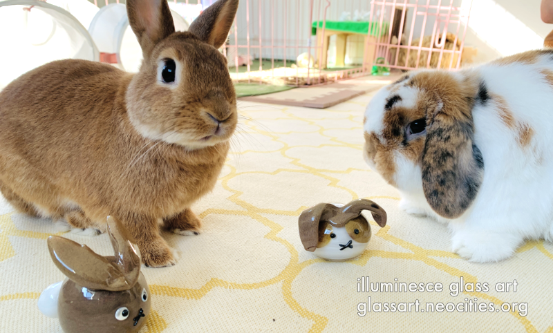 Glass rabbits, looking tiny next to real rabbits. The glass rabbits are modelled after the real ones.